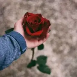 Haloz_a