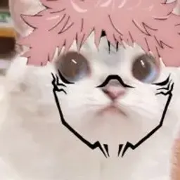 Dragogo