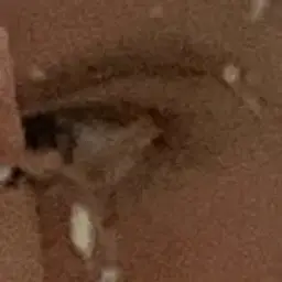 Cruh