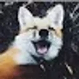 wtflynx