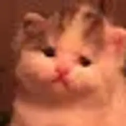 DobriyKit