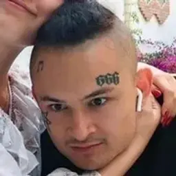 esteetico