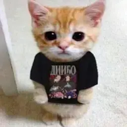 xetteq