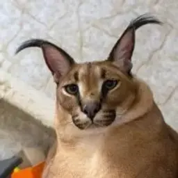 FiLKoNd