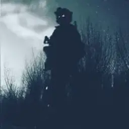 black_assasin33