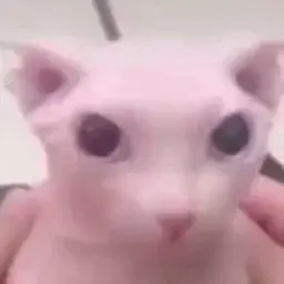 kakyletka999