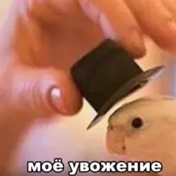 IvanKopeyka