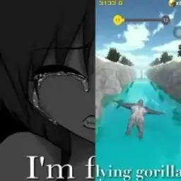 stolmyy