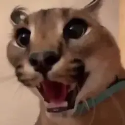 zabloing