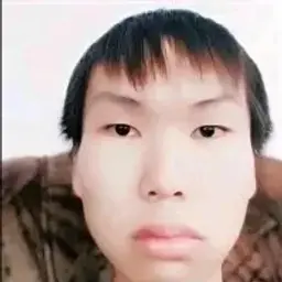 DINERO_SIM
