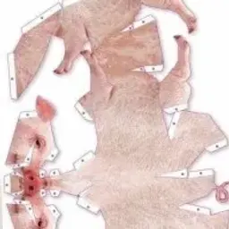 Zerok321
