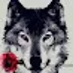 nindzya