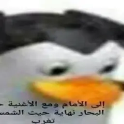 i_yayayay