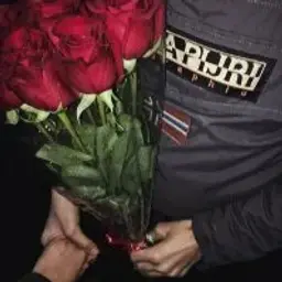 Dengi_ZLO