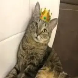 nastyamirnaya555