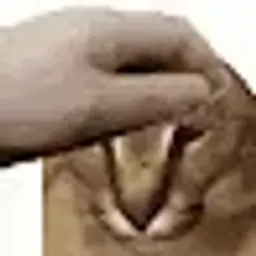 yalublyigratvcsg