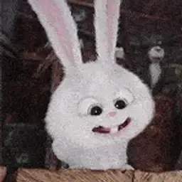 CrazzyRabbit