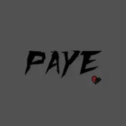 Paye_inactive4478475