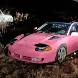 pinkstealth