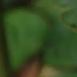 qqqqqqqqqqq18