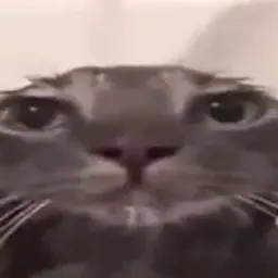 iwanttobehuman