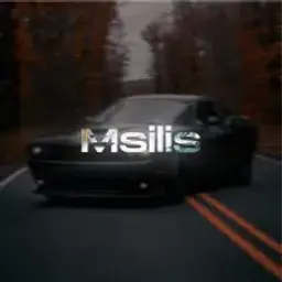 MsLis