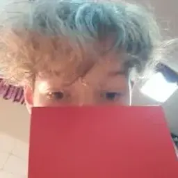 1l1ung