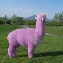 Purpurnaya