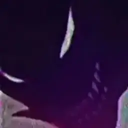 neverpsycho