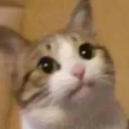 Pozitiv4ikYou