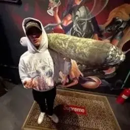 scamisshit