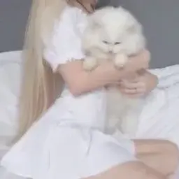 visenya