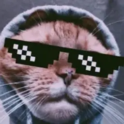 NikitaFish