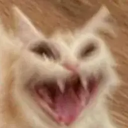 Loiku