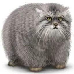 rasselbebruk