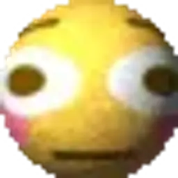 lleryX