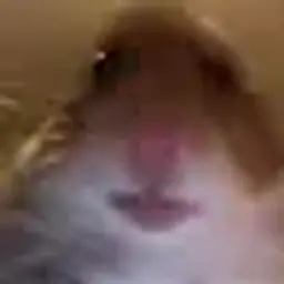 3232333