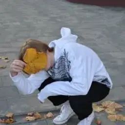 dhard