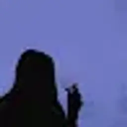 darova11