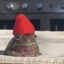 pruudik