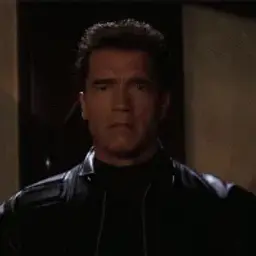terminatedi