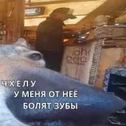 rzykov0