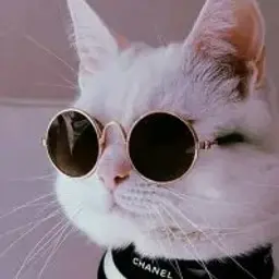idelpepeli1