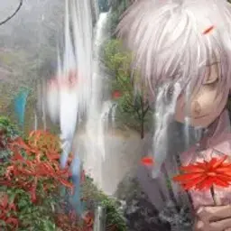 violvalyaj