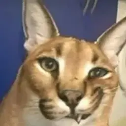 niclusmeow