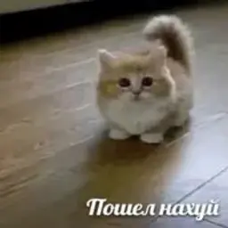Ernur_kz_boec