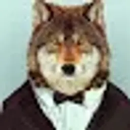 indemix7241