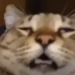 tg_egorepif