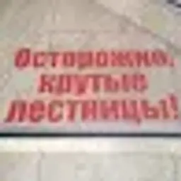 felprose