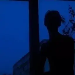 artem0564